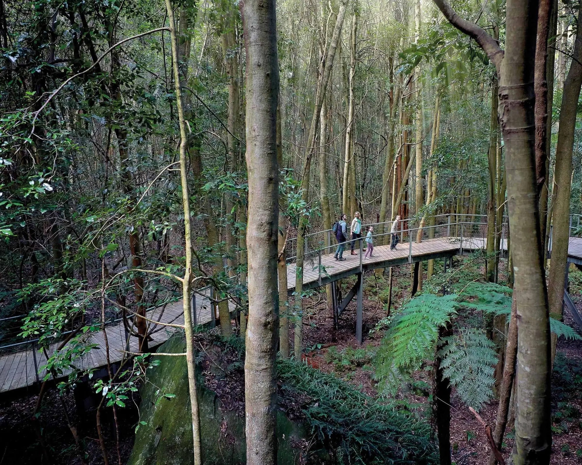 Pase Ultimate Discovery de Scenic World Blue Mountain - Imagen 4