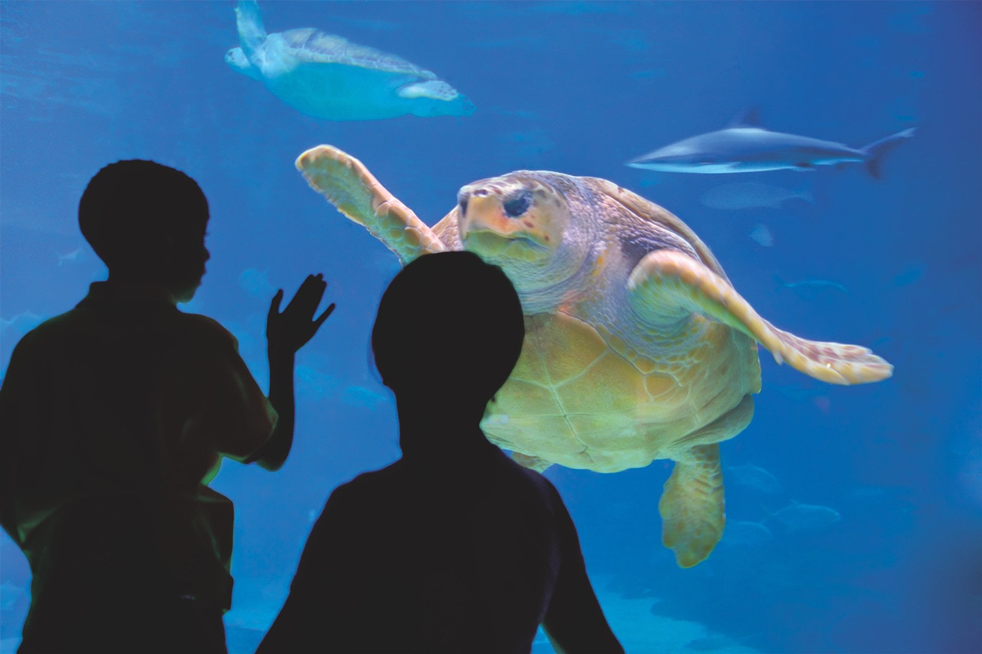 Philadelphia CityPASS - Imagen 2
