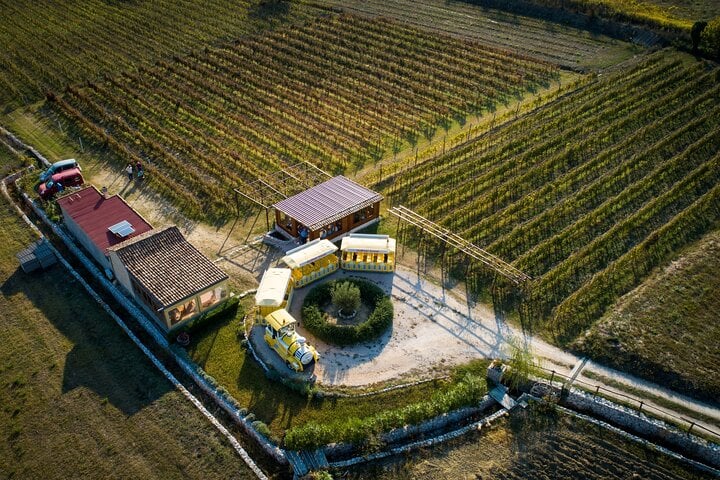 Excursión vinícola al valle de Konavle desde Dubrovnik con viaje en tren y cata de vinos. - Imagen 3