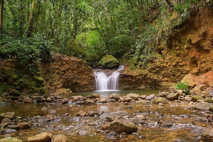 Aventura en el sendero costero en Bertioga: explorando la belleza natural - Imagen 3