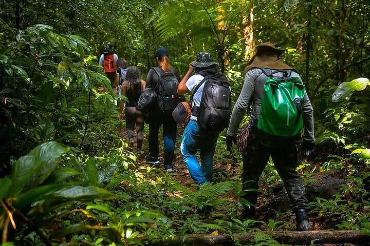Aventura en el sendero costero en Bertioga: explorando la belleza natural - Imagen 2