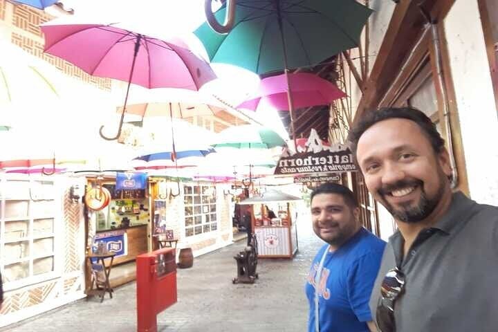 Ciudad De Campos Do Jordão: La Suiza Brasileña En Un Tour Privado De Día Completo - Imagen 2