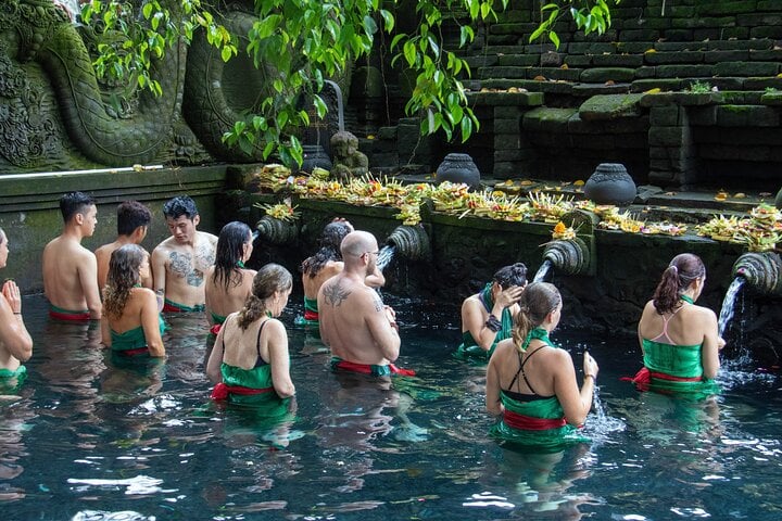 Excursión de medio día a Ubud y Tampak Siring desde Bali - Imagen 3