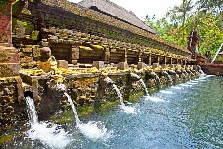 Excursión de medio día a Ubud y Tampak Siring desde Bali - Imagen 2