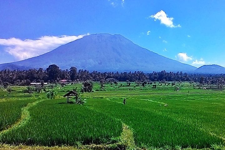 Excursión de día completo a las maravillas de Bali. - Imagen 2