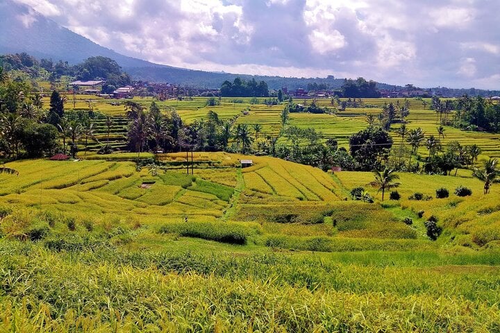Excursão em grupo de um dia inteiro pelas maravilhas de Bali - Imagen 4