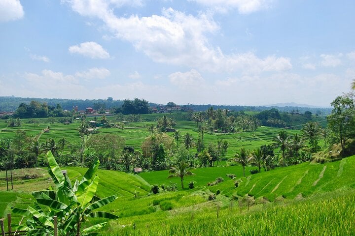 Excursão em grupo de um dia inteiro pelas maravilhas de Bali - Imagen 3