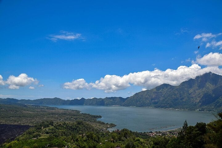 Excursión de día completo en grupo a Bali: una gran introducción - Imagen 3