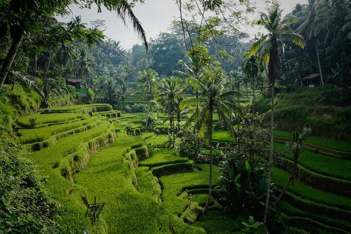 Excursión de día completo en grupo a Bali: una gran introducción - Imagen 4