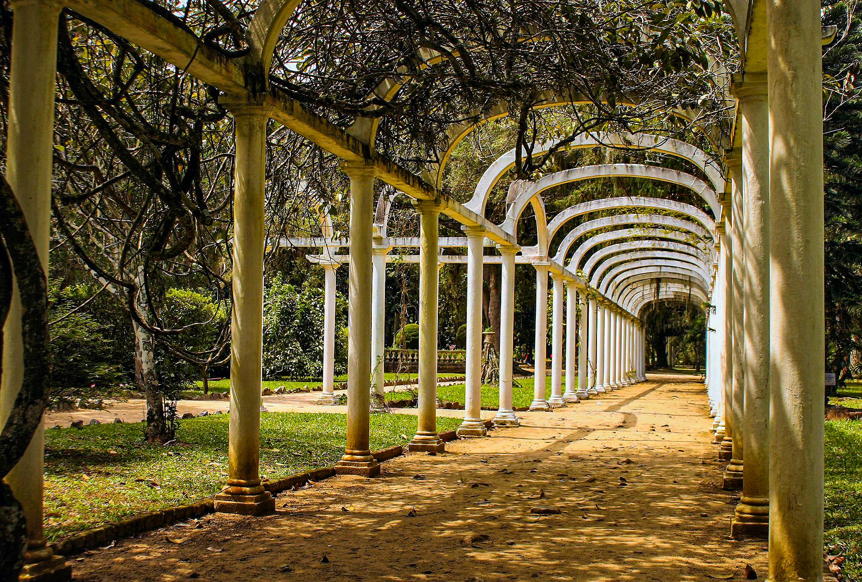 Aventura en Jeep por Floresta de Tijuca con Jardín Botánico - Imagen 3