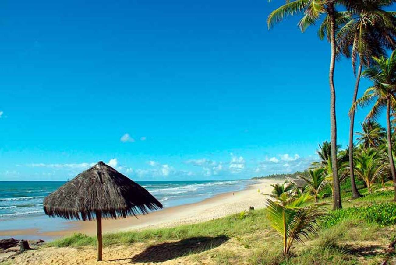 Tour Islas Tropicales - con almuerzo - Imagen 3