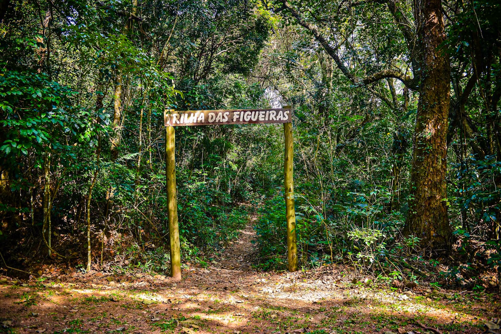 Tour Ecológico por el Parque Estatal Cantareira - Imagen 4