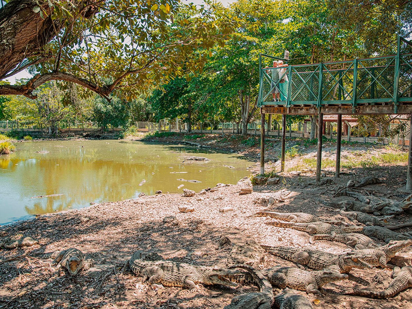 Excursión Guamá y Punta Perdiz o Cueva de los Peces - Imagen 4
