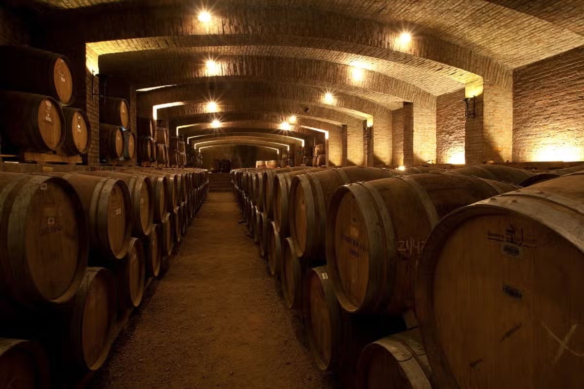 Viña Undurraga con degustación y traslados - Imagen 4