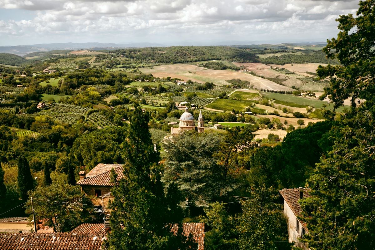 Montepulciano, Montalcino y Cortona - Imagen 3