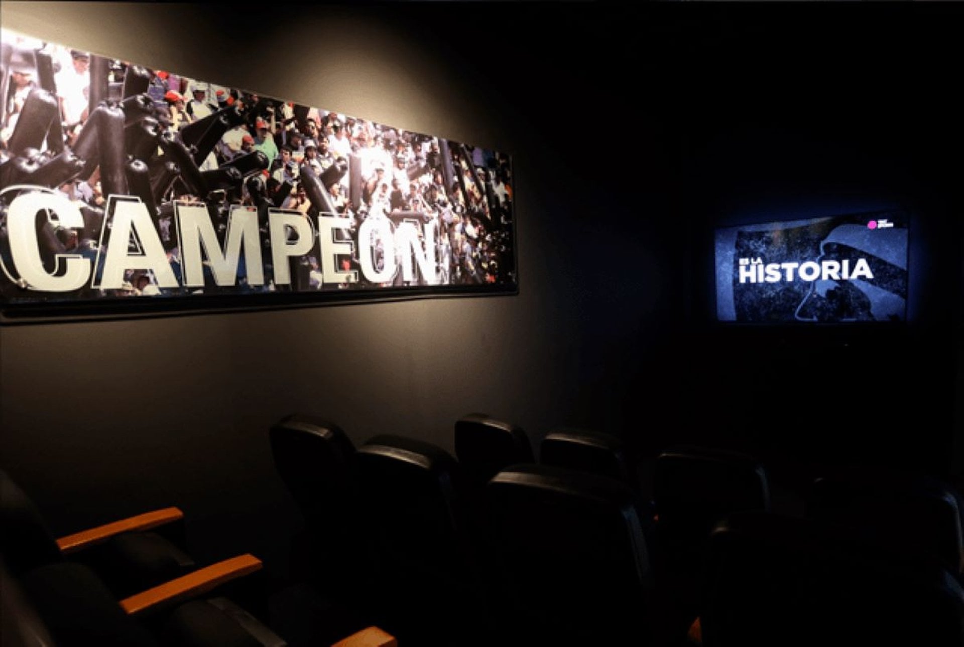 Museu Monumental e Estádio Colo-Colo - Imagen 3