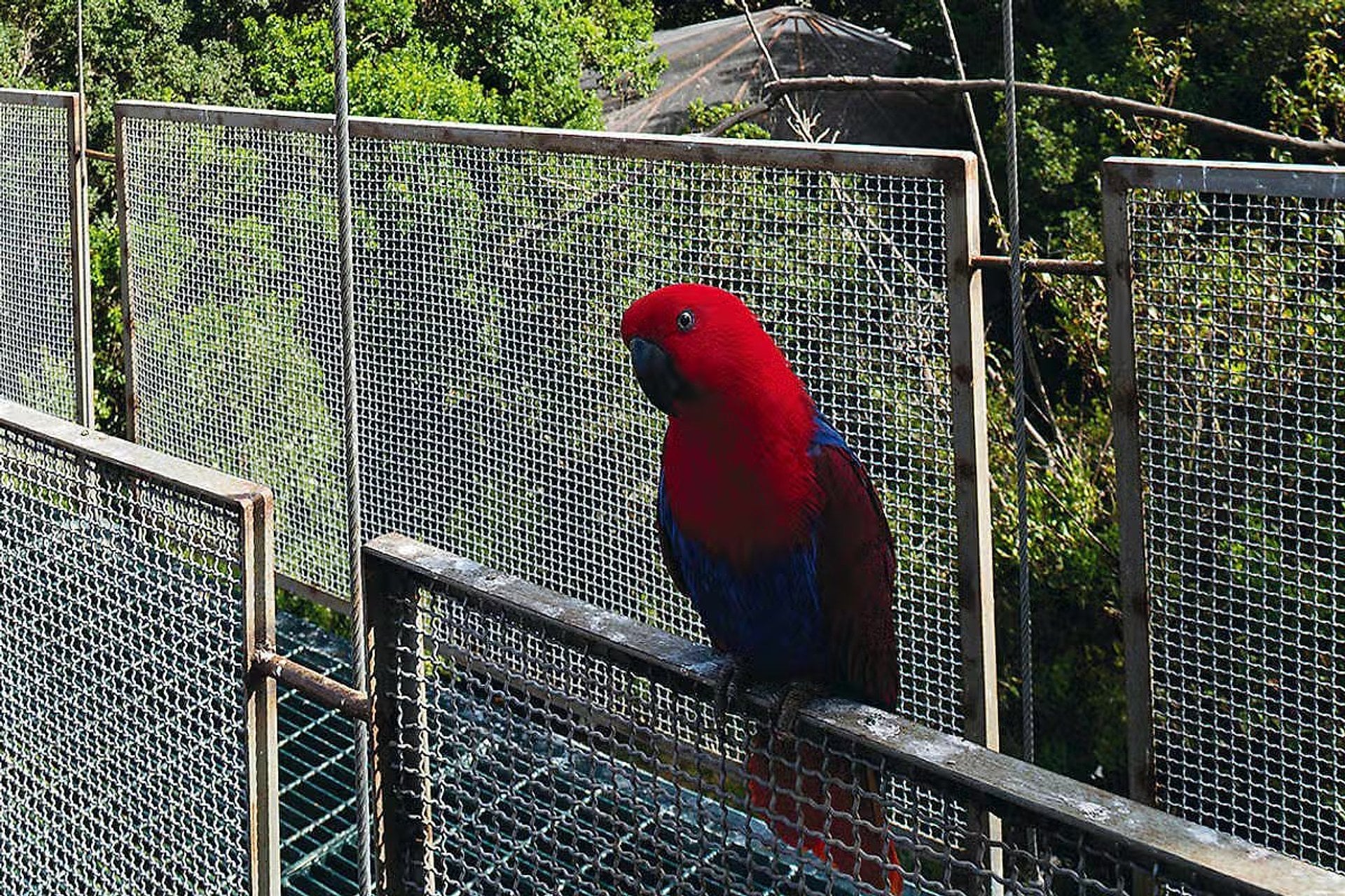 Tricao and Pomaire Park - Imagen 2