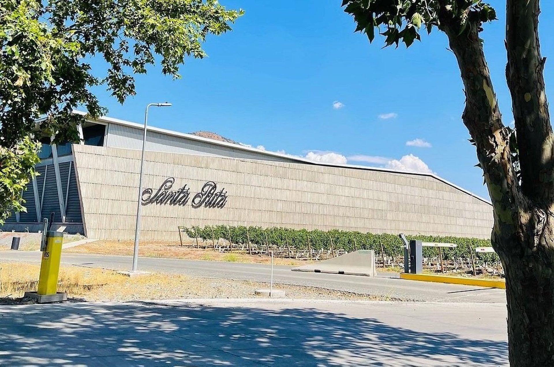 Viña Santa Rita with Transfers - Imagen 4