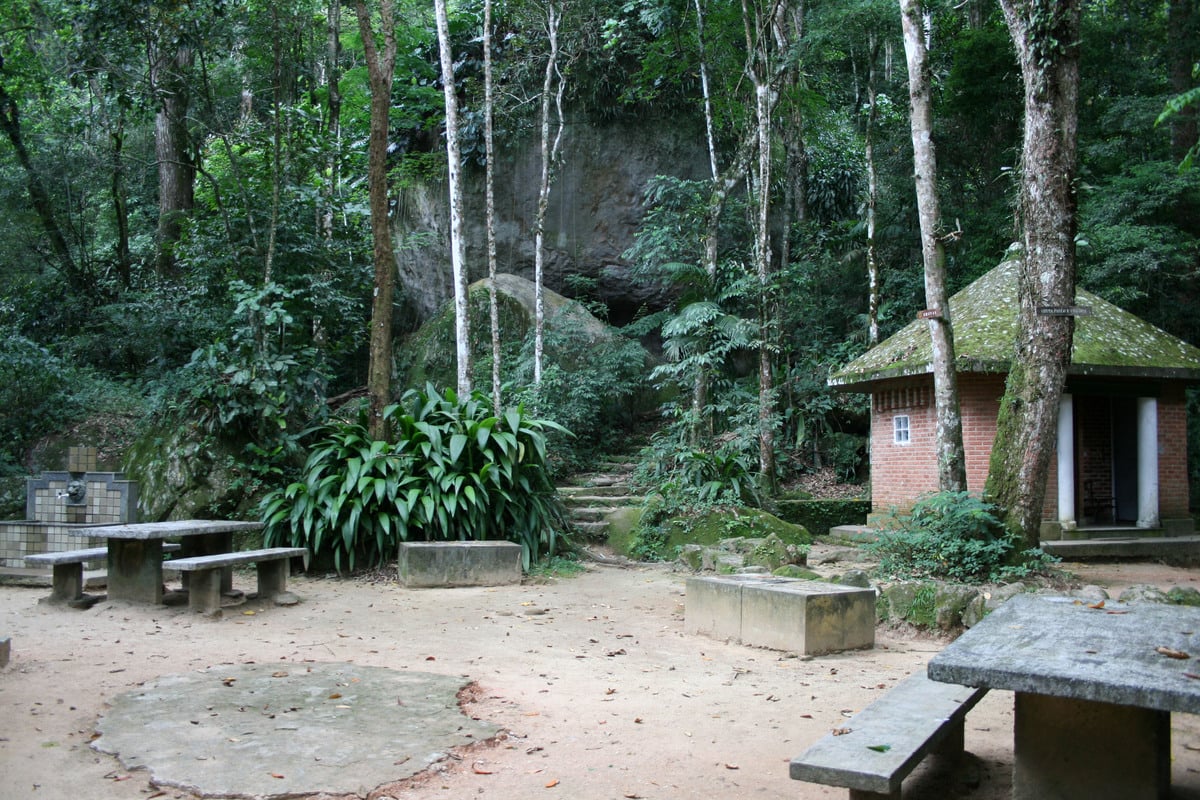 Parque Nacional de Tijuca y Jardín Botánico - Visita guiada y traslado - Imagen 4