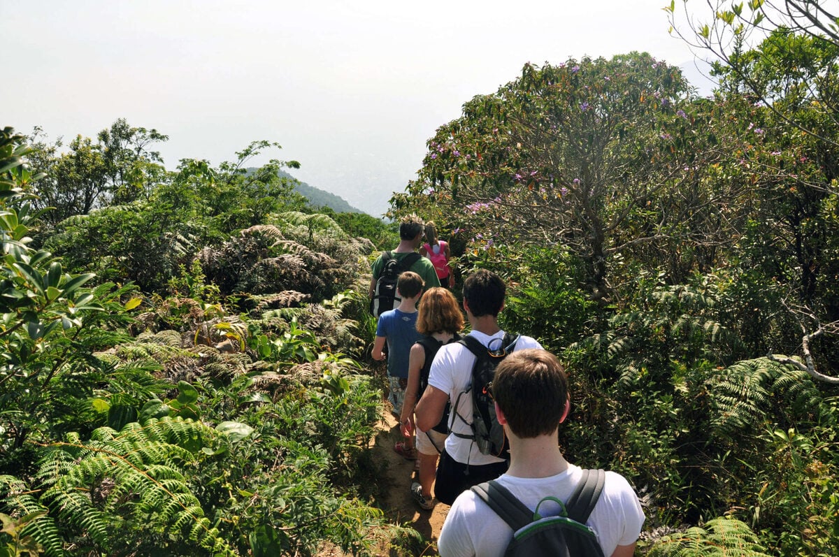 Parque Nacional de Tijuca y Jardín Botánico - Visita guiada y traslado - Imagen 3