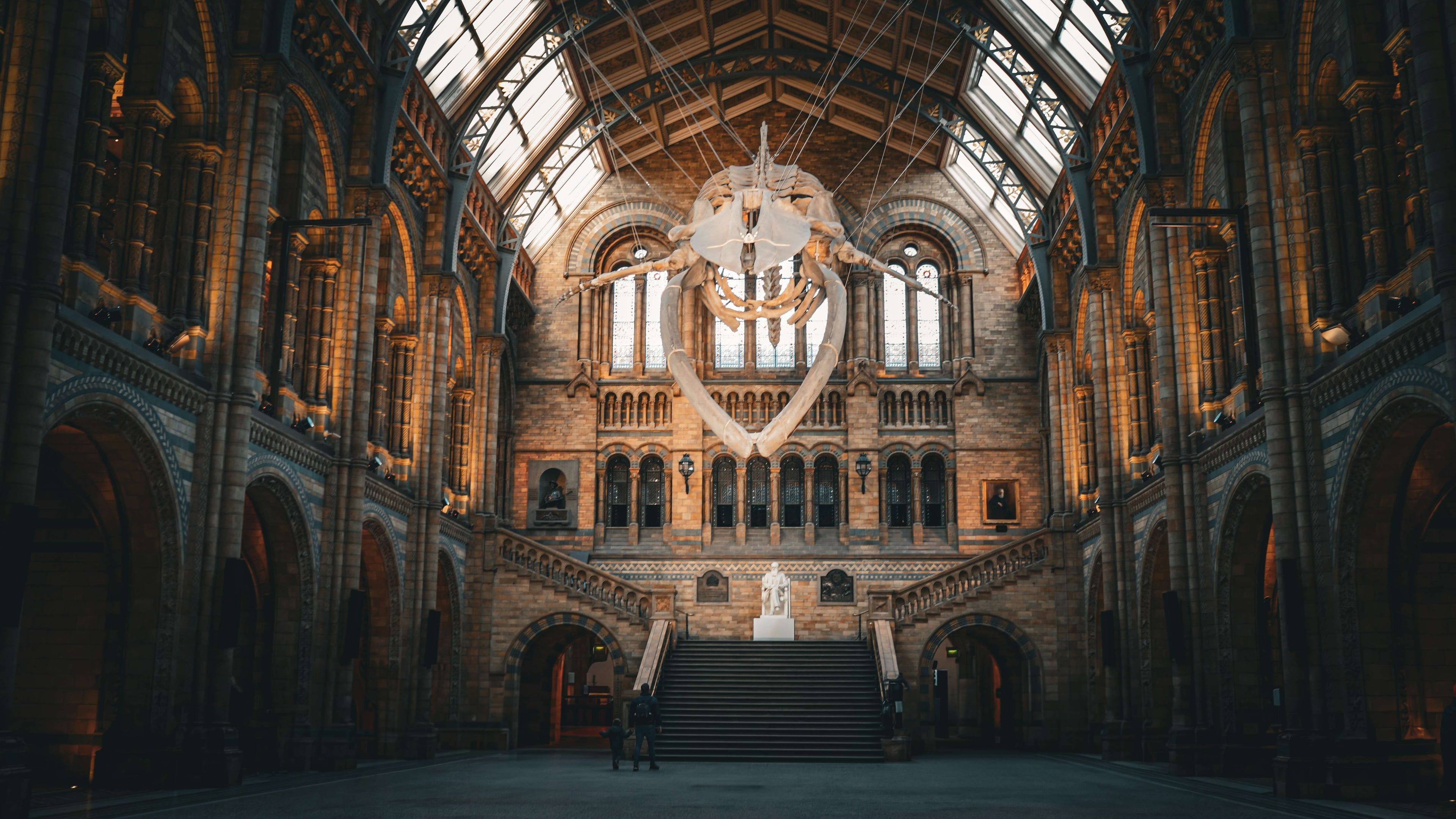 Visita guiada al Museo de Historia Natural - Imagen 3