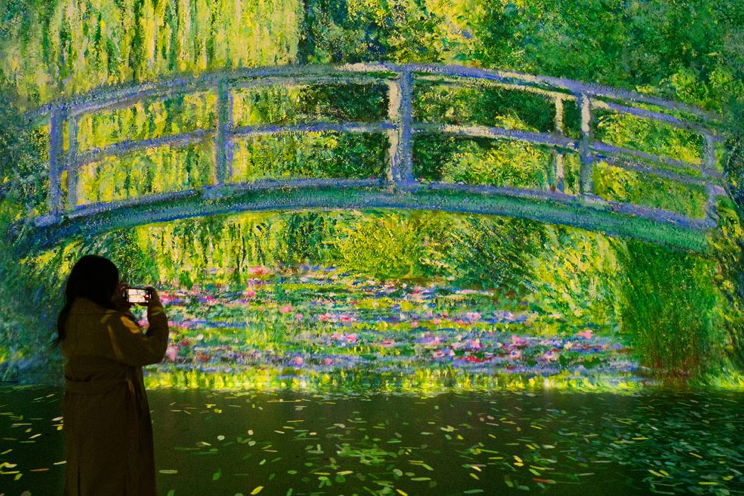 Frameless: una experiencia artística inmersiva - Imagen 2