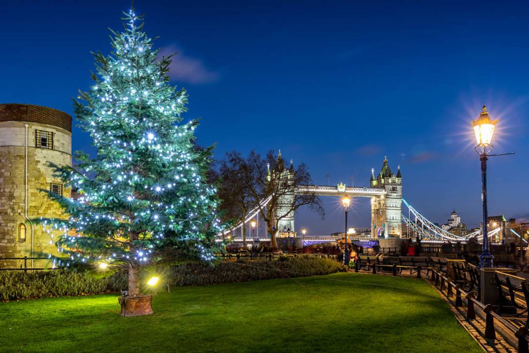 Recorrido en autobús por las luces navideñas de Londres con guía en directo - Imagen 3