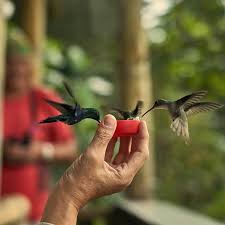 Mindo Cloud Forest Full Day Tour - Imagen 3