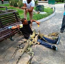 Passeio na cidade de Guayaquil - Imagen 3