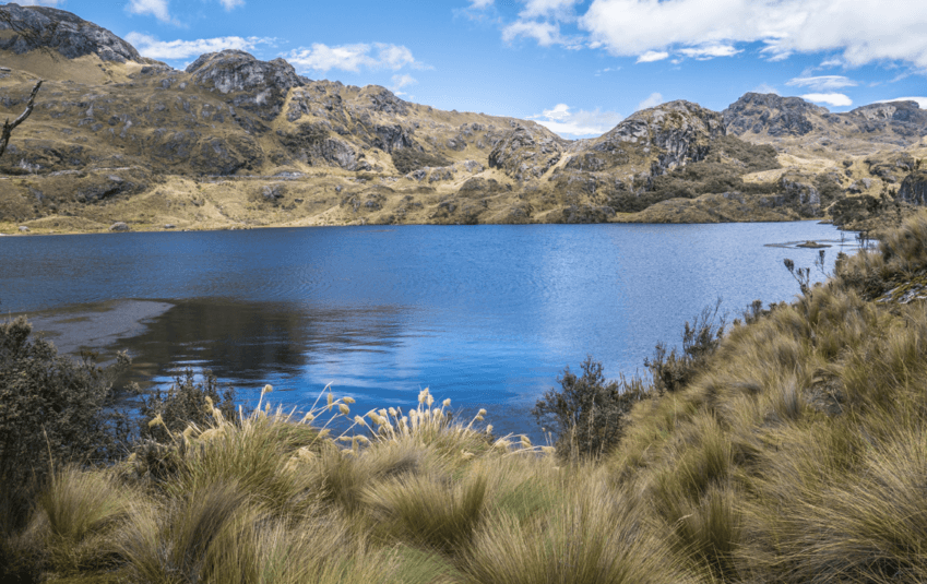 Excursión al Parque Nacional Cajas - Imagen 2