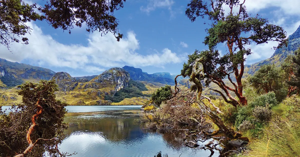 Excursión al Parque Nacional Cajas - Imagen 3