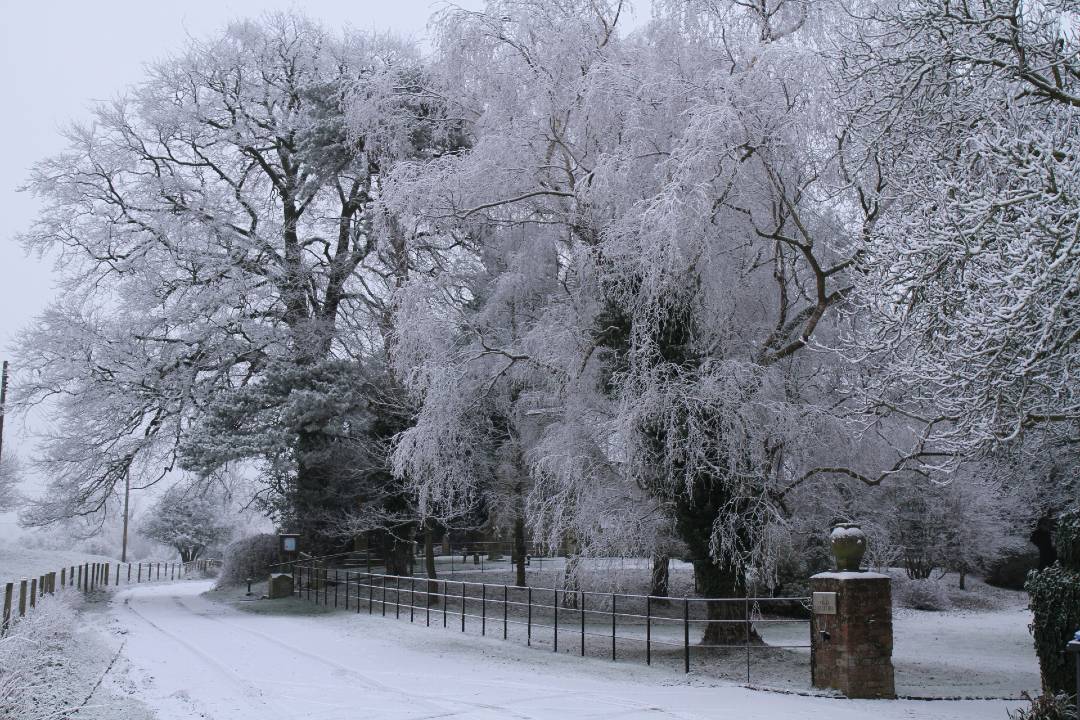 Oxford, Cotswolds y Stratford-upon-Avon con almuerzo navideño tradicional - Imagen 3