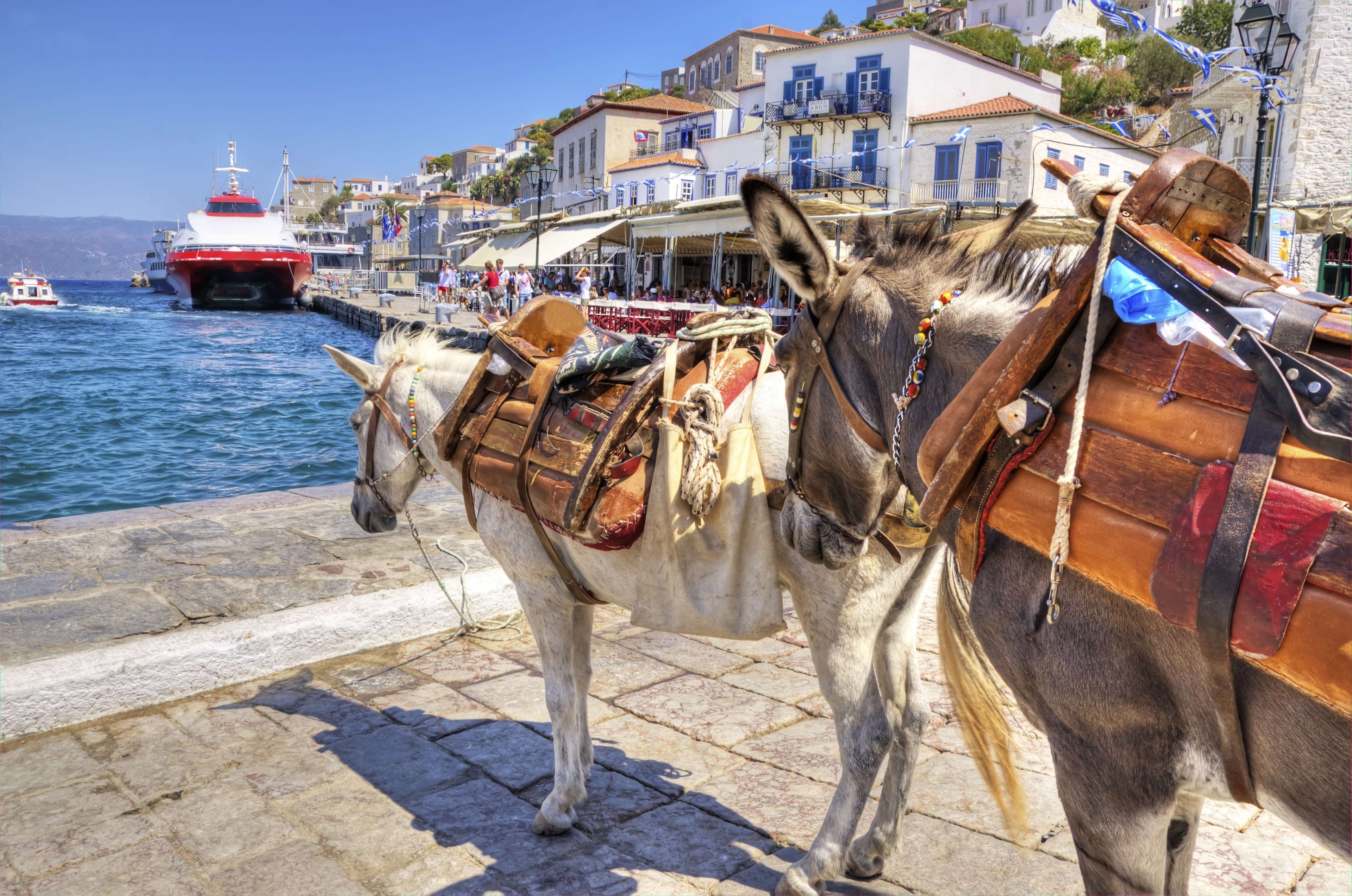 Crucero de un día desde Atenas: Poros, Hidra y Egina - Imagen 3