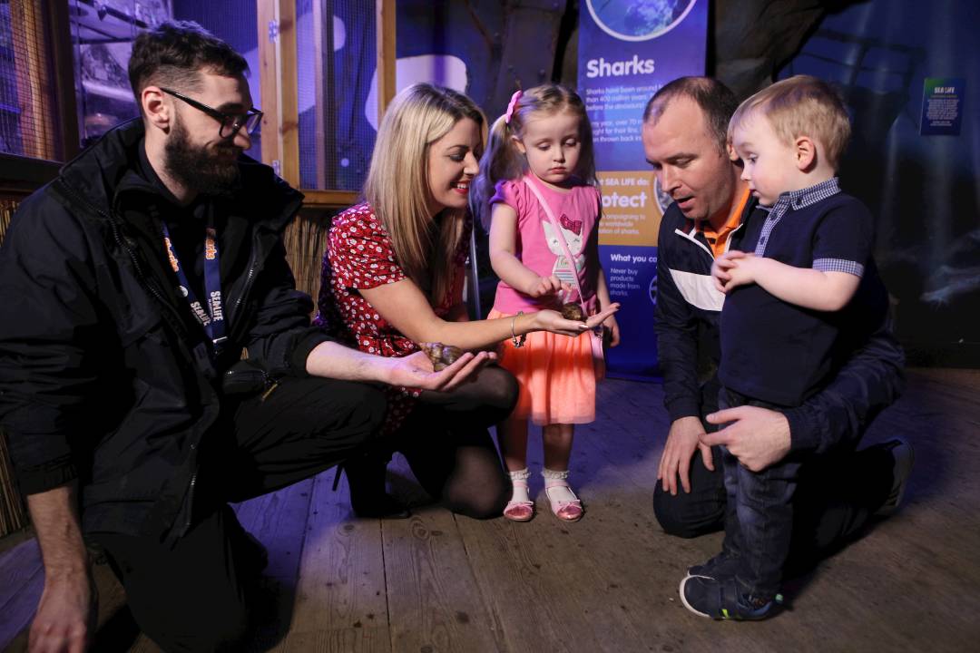 Explore SEA LIFE Blackpool - Imagen 3