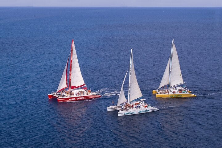 Catamarã Montego Bay: Explore os recifes com bebidas e música ao vivo - Imagen 3