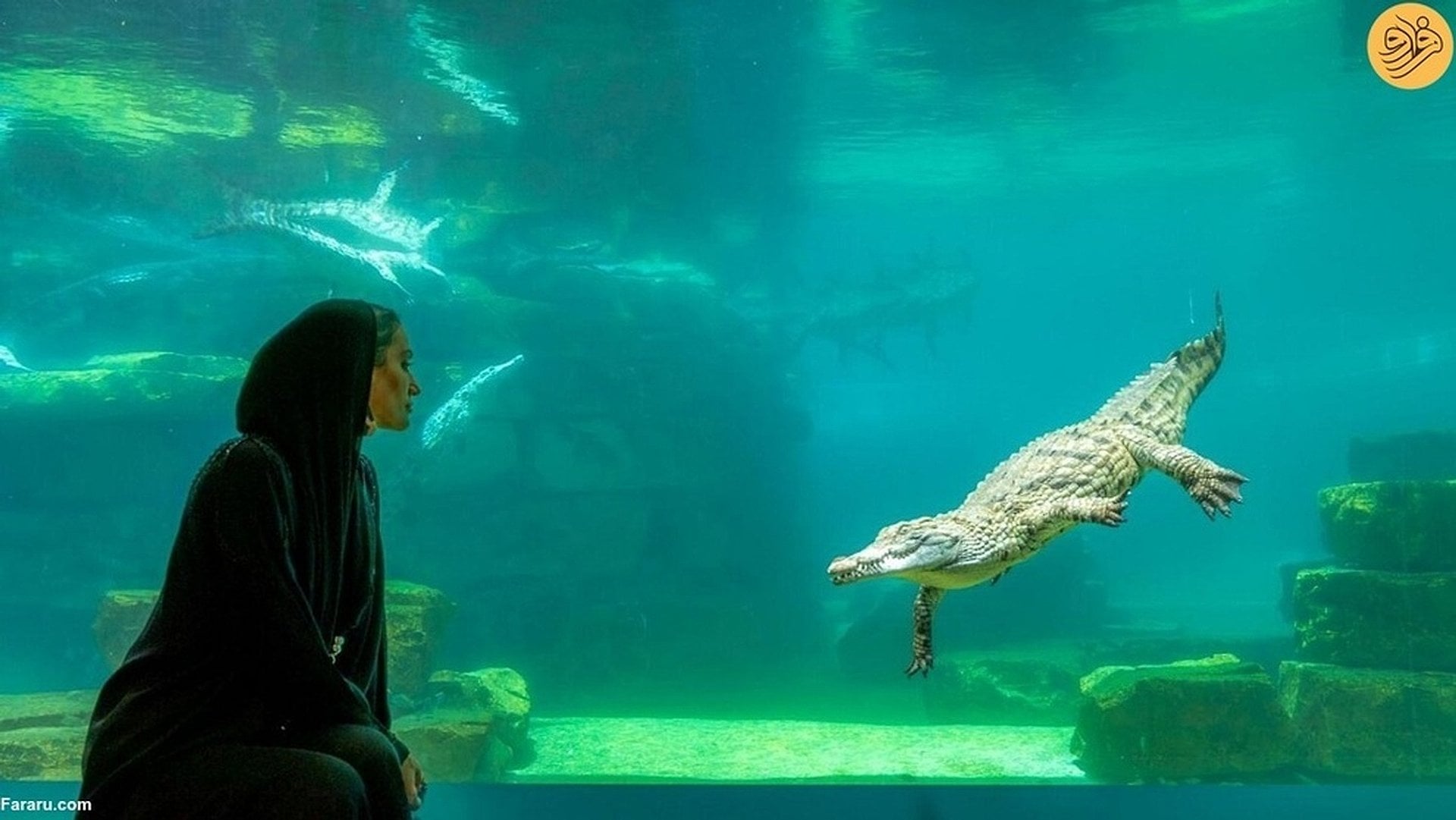 Parque dos Crocodilos de Dubai - Imagen 3