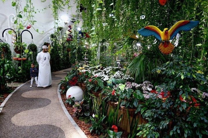 Recorrido por el Milagro de Dubái y el Jardín de Mariposas con traslados privados de ida y vuelta - Imagen 4
