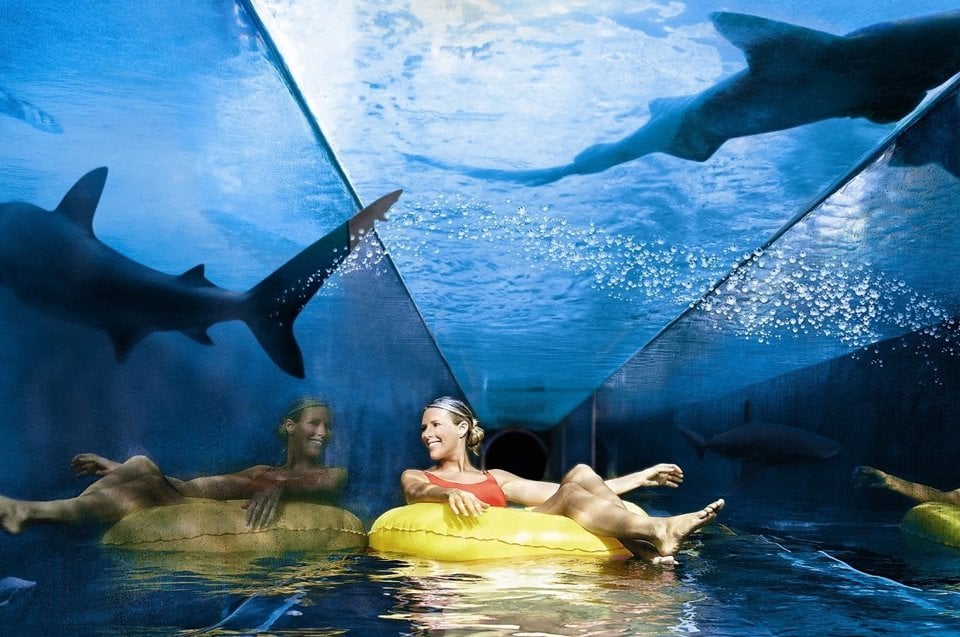 Atlantis Aquaventure con traslados privados - Imagen 2