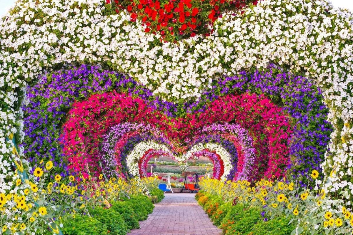 Entradas para el Miracle de Dubái y el Jardín de Mariposas - Imagen 2