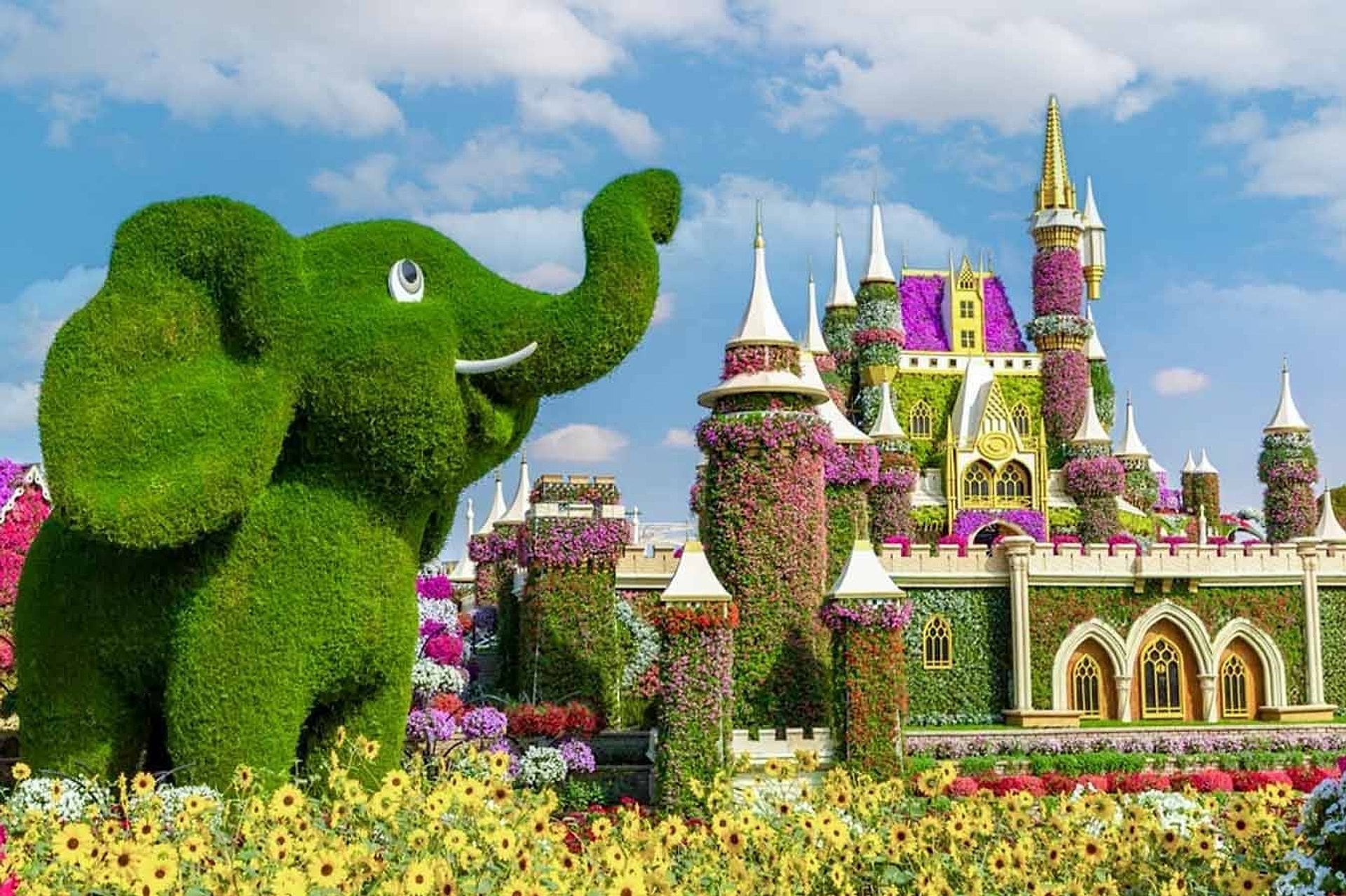 Dubai City Tour, Miracle & Butterfly Garden - Imagen 2