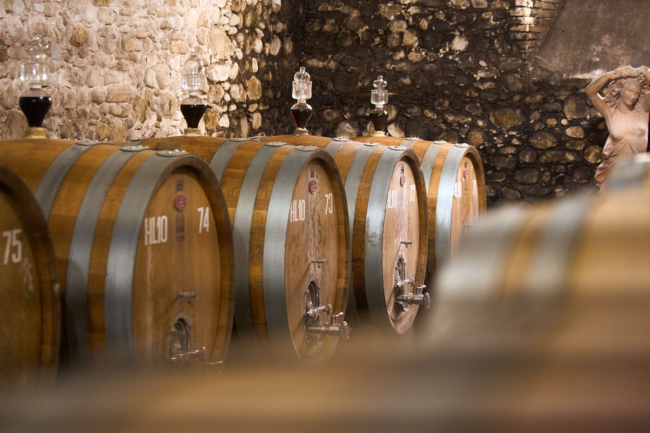 Toscana: cata de aceite de oliva y vino - Imagen 4