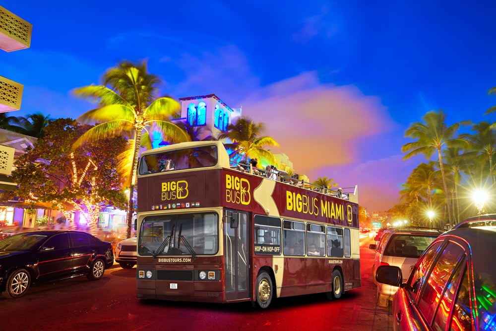Día, noche y navegación - Autobús turístico hop-on hop-off 48 hs - Imagen 2