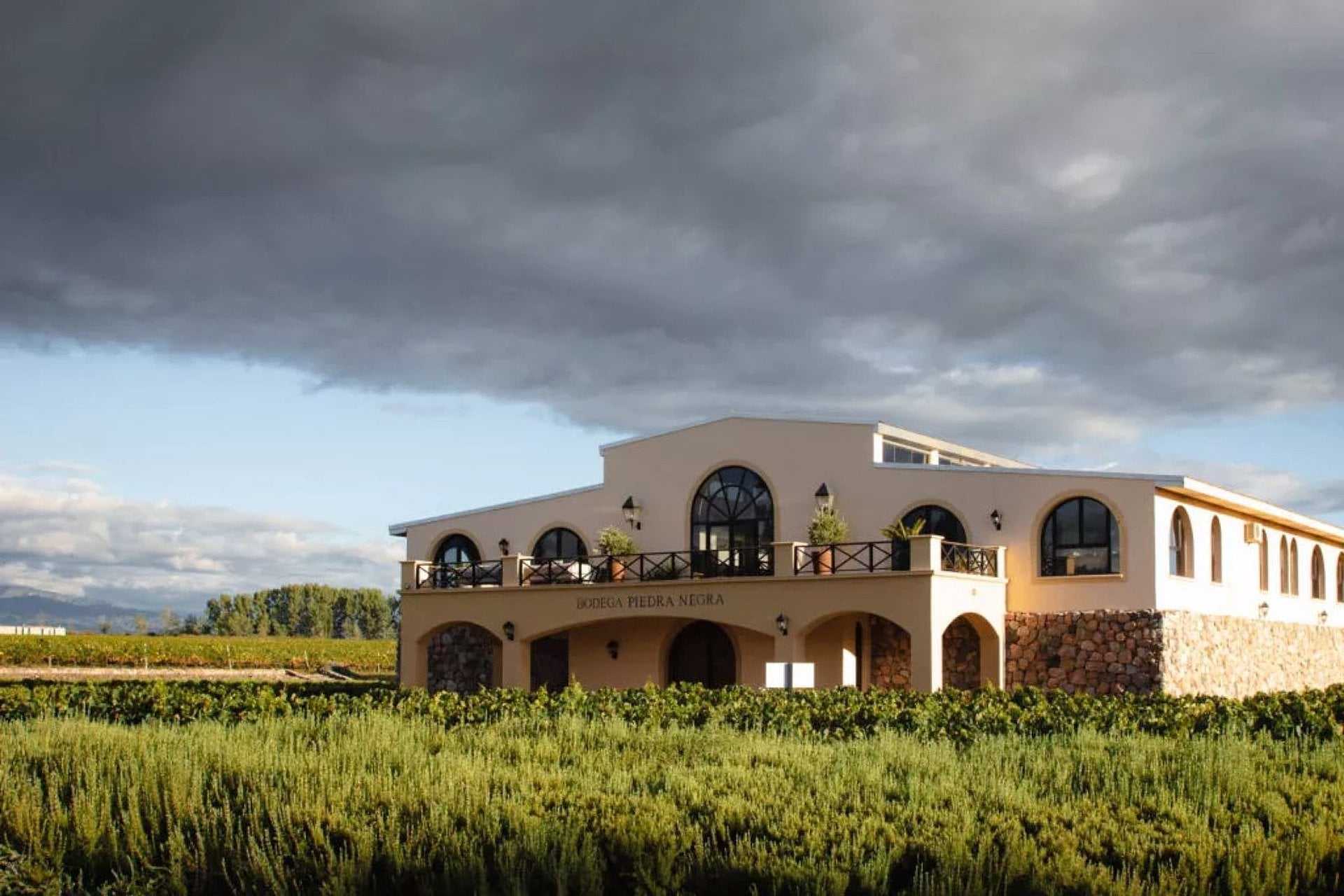 Bodegas Premium con almuerzo en Bousquet - Imagen 3