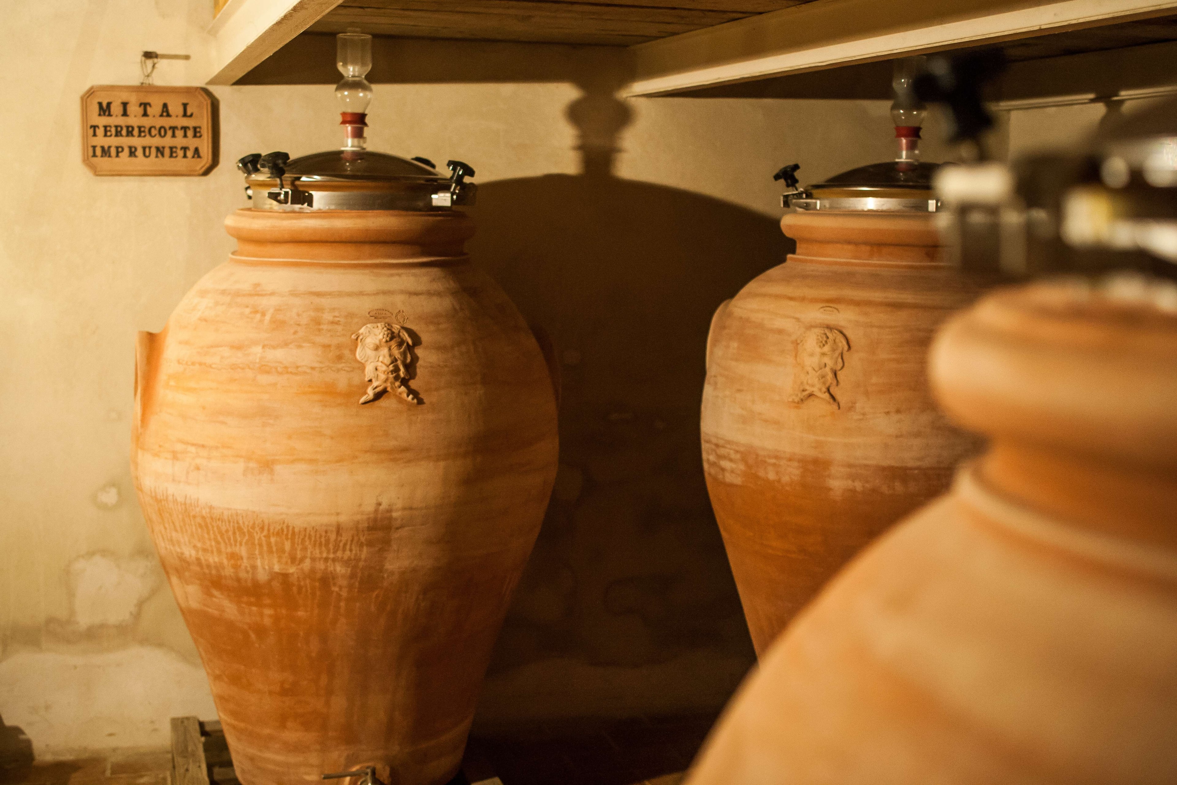 Chianti semiprivado: bodegas y catas - Imagen 3