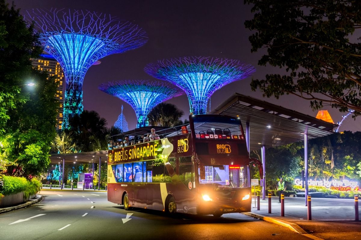 Singapore Night Tour - Imagen 3