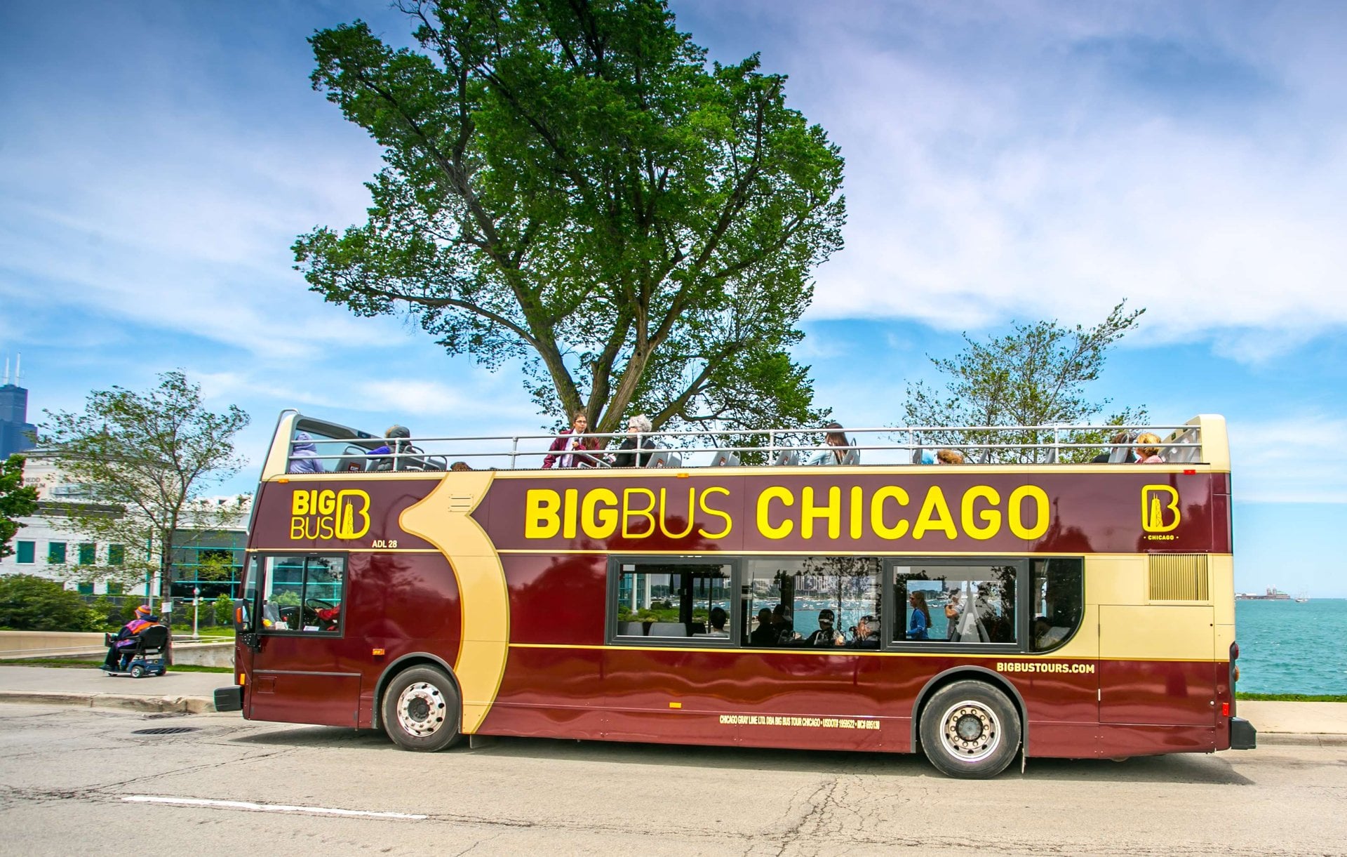Big Bus Chicago: recorrido de 72 horas - Imagen 3