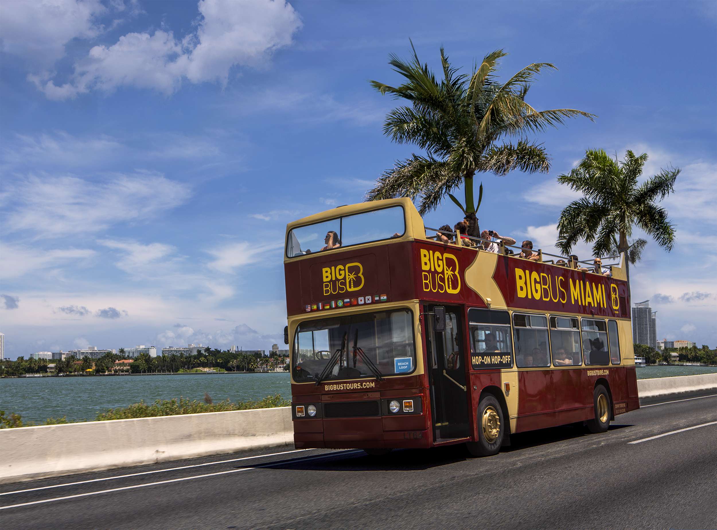 Recorrido turístico de 48 horas en autobús por Miami - Imagen 4