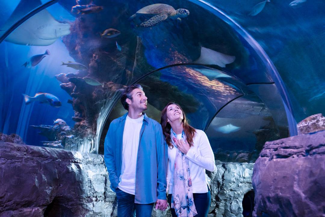 Pase de atracciones de Londres de Merlín - Madame Tussauds - Imagen 3