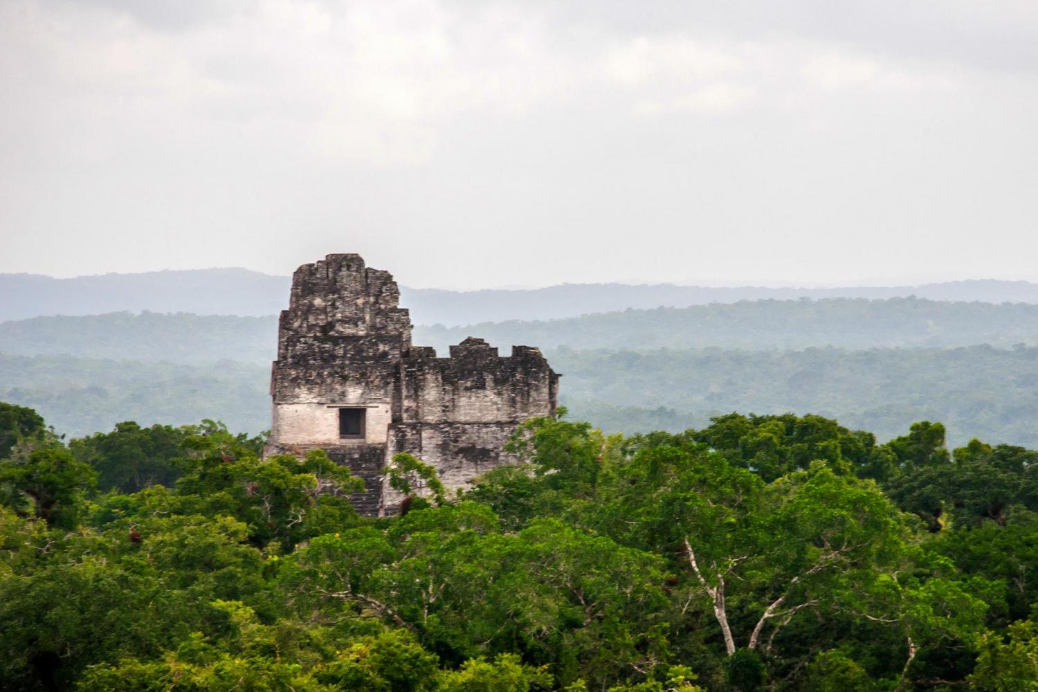 JOYAS DE LA UNESCO - Tour de 1 día a Tikal en avión - Imagen 3