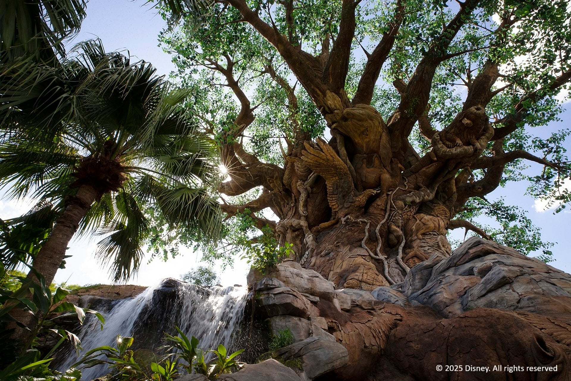 Disney Animal Kingdom: ticket de 1 día - Imagen 4